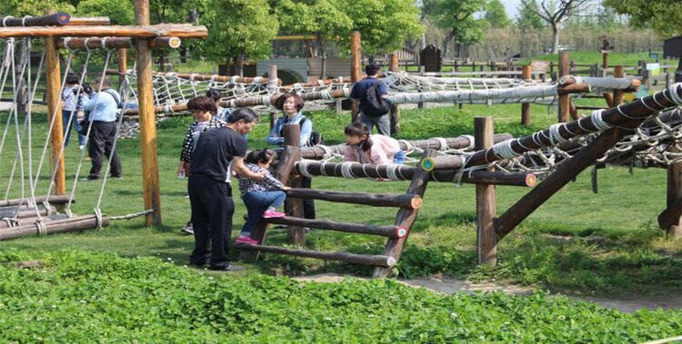 ky开元集团：内乡县夏馆镇中心学校举行“名班主任”评选活动