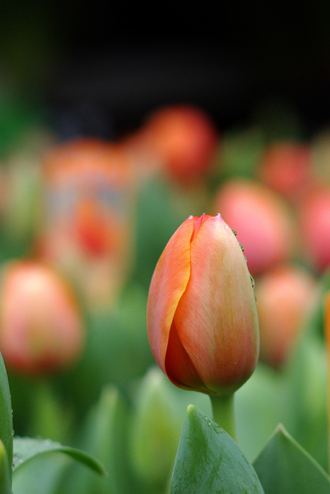 KY开元集团官网