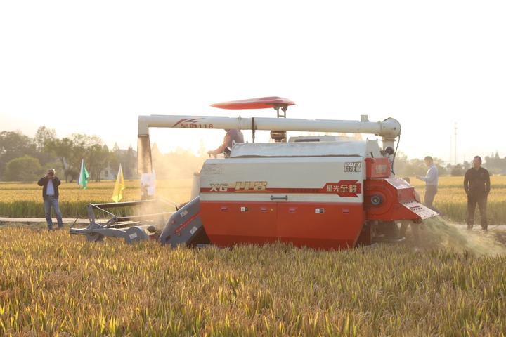 利物浦客场闷和圣徒“ky开元”