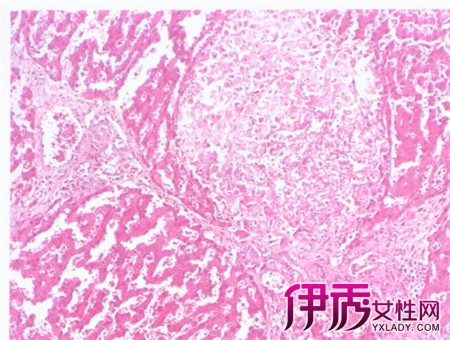 ky开元|这样，你家还会不美吗？