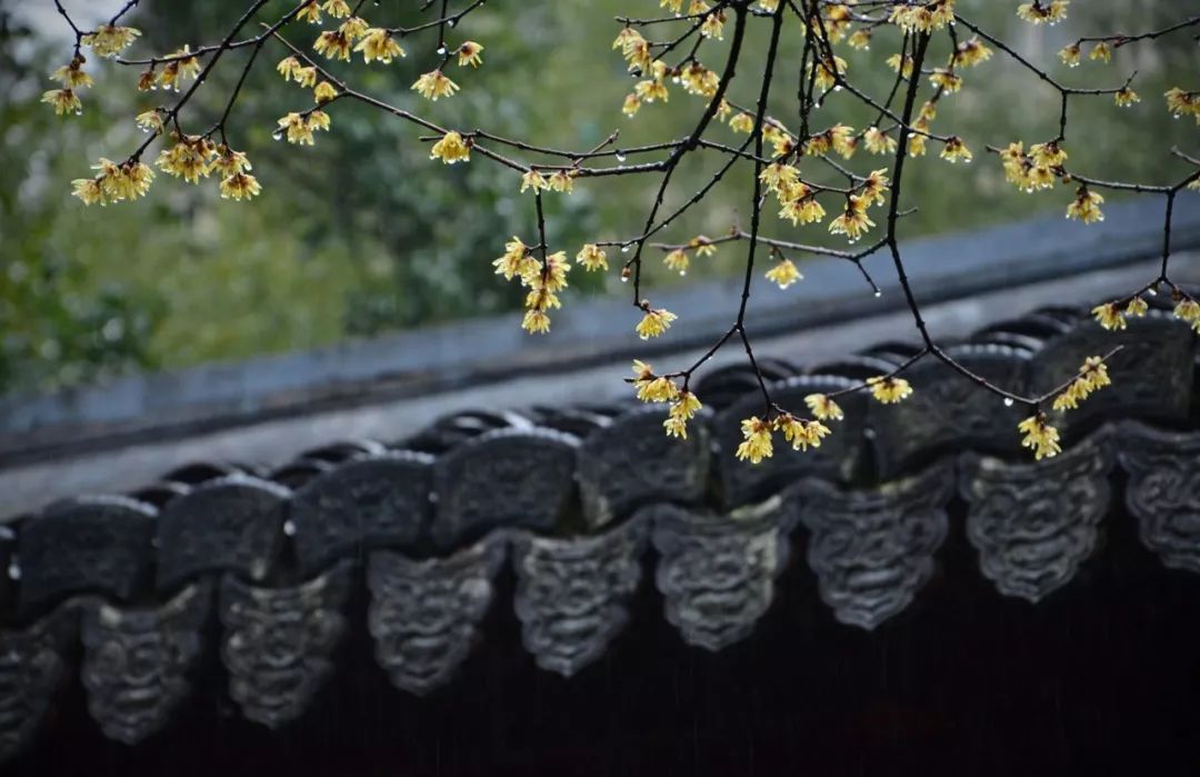 ky开元-案例唯美中带有乡村风格(图2) ky棋牌