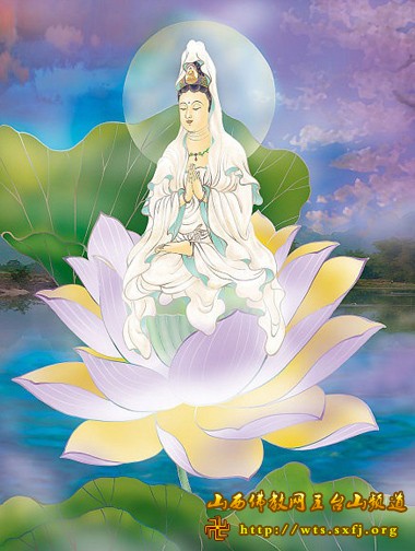 ky开元集团:如何正确选购防臭地漏(图2) ky开元集团