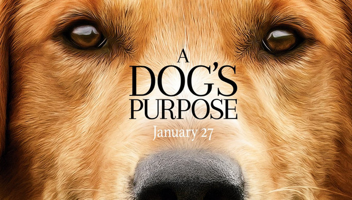 铁艺床好不好?铁艺床如何清洗保养?_ky开元(图3) ky开元集团