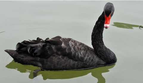 KY开元集团官网