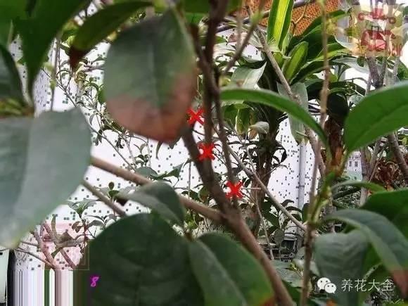 “ky棋牌”金鼎居装饰公司如何?(图1) KY开元集团官网